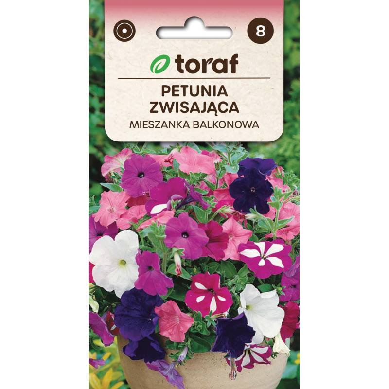 Toraf 0,3g Petunia zwisająca Mix Nasiona kwiatów Mieszanka kolorów Balkony Skrzynki
