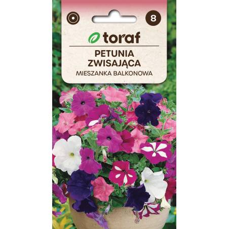 Toraf 0,3g Petunia zwisająca Mix Nasiona kwiatów Mieszanka kolorów Balkony Skrzynki