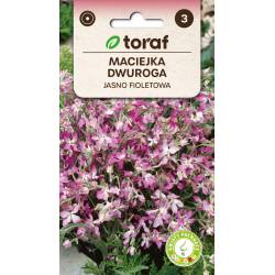 Toraf 3g Maciejka Nasiona kwiatów Pachnąca Fioletowa Tarasy Ogrody