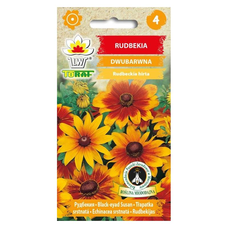 Toraf 1g Rudbekia Dwubarwna Nasiona kwiatów roślina jednoroczna łatwa w uprawie długo kwitnie