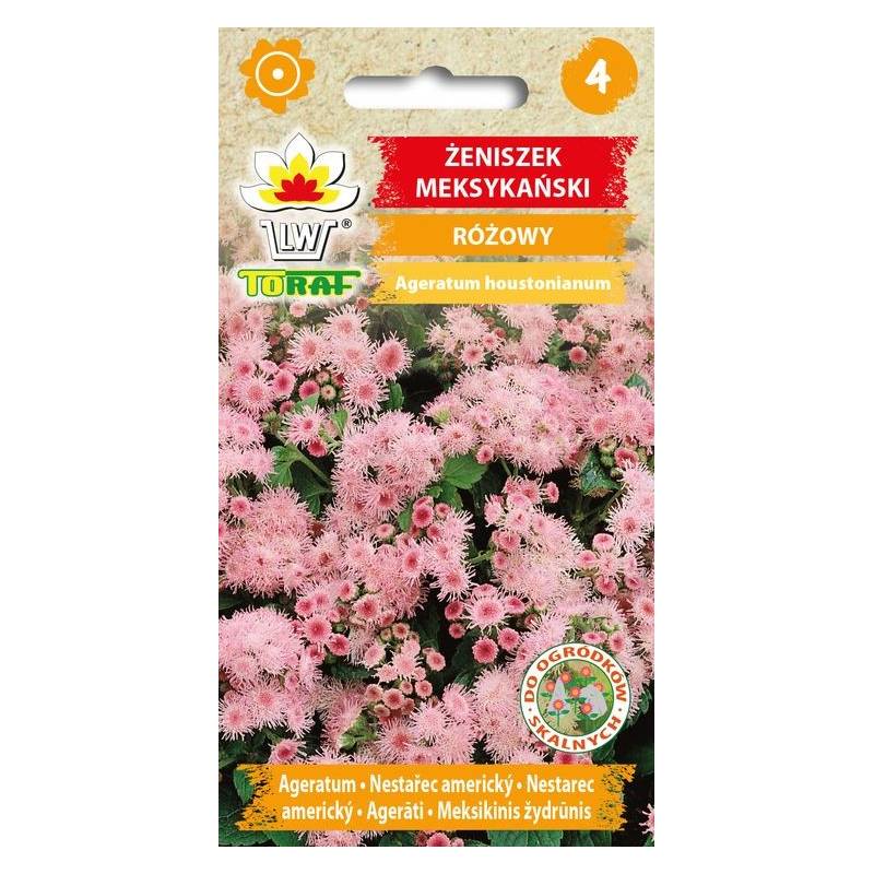 Toraf 0,2g Żeniszek Meksykański Różowy Nasiona kwiatów Roślina jednoroczna kwietniki obwódki rabaty balkon