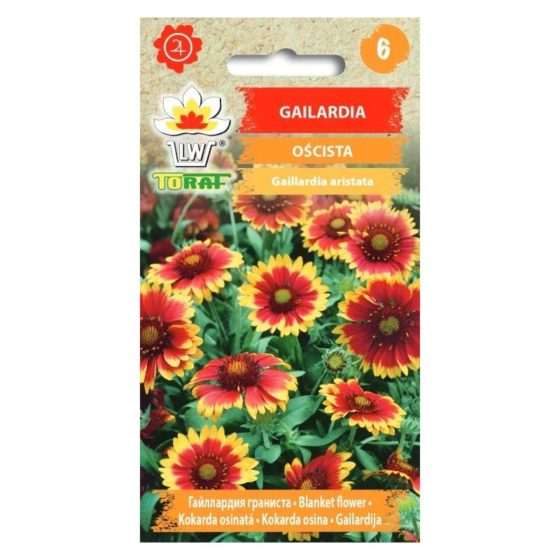 Toraf 1g Gailardia oścista Nasiona Kwiatów żółto-czerwone kwiaty bylina rabatowa