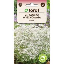 Toraf 1g Gipsówka wiechowata biała Nasiona kwiatów Przyciąga motyle Bukiety Kwiat cięty