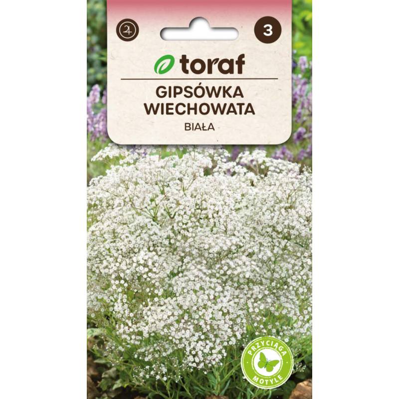 Toraf 1g Gipsówka wiechowata biała Nasiona kwiatów Przyciąga motyle Bukiety Kwiat cięty