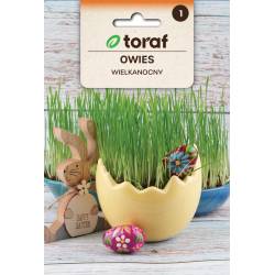 Toraf 30g Owies Wielkanocny Nasiona zielona ozdoba wielkanocnego stołu