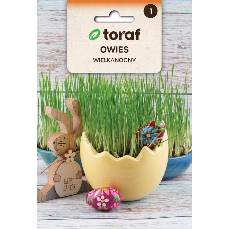 Toraf 30g Owies Wielkanocny Nasiona zielona ozdoba wielkanocnego stołu