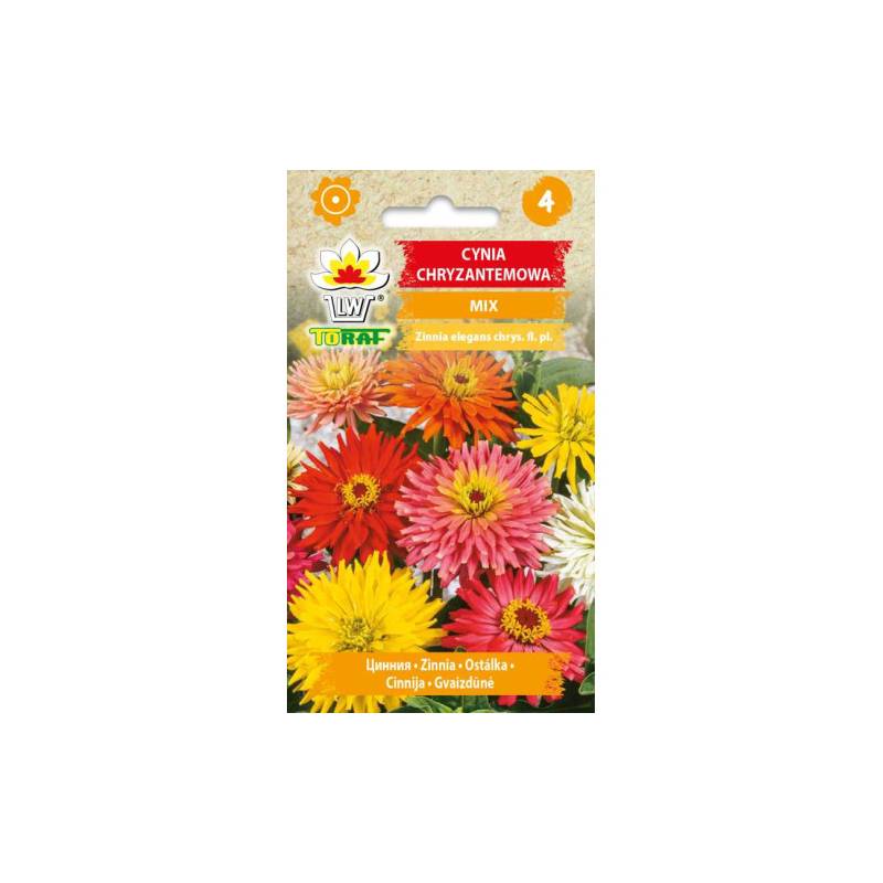 Toraf 1g Cynia Chryzantemowa Mix Nasiona kwiatów jednorocznych Mieszanka kolorów