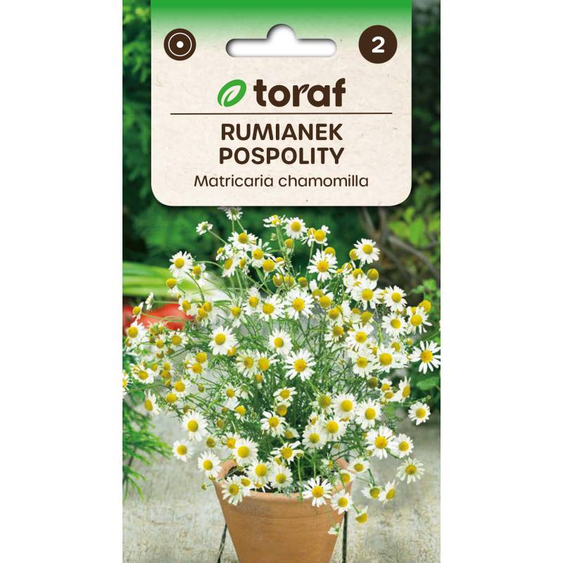 Toraf 0,5g Rumianek Pospolity Nasiona ziół działa odprężająco relaksacyjnie właściwości lecznicze