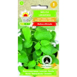 Toraf 0,5g Melisa Lekarska Nasiona ziół herbatki dodatek do sałatek uspokaja