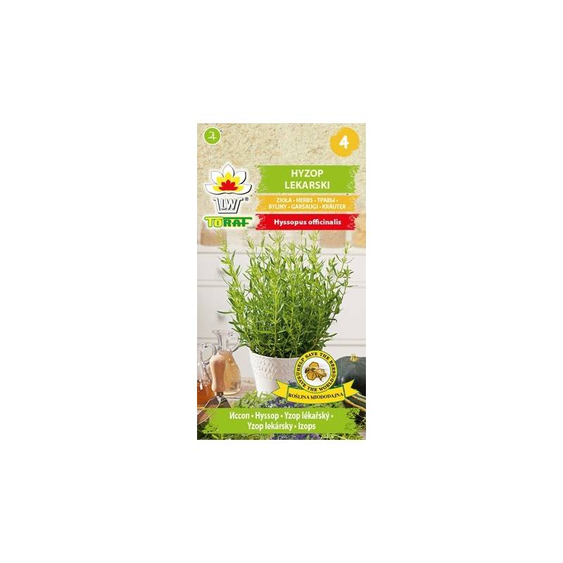 Toraf 0,5g Hyzop Lekarski Nasiona ziół przyprawy leczenie dróg oddechowych