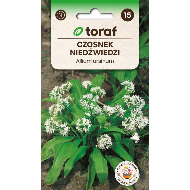 Toraf 0,25g Czosnek Niedźwiedzi Nasiona ziół Mrozoodporny Aromatyczny Leczniczy