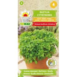 Toraf 0,5g Bazylia cytrynowa Nasiona zioła cytrynowy zapach dodatek do sałatek