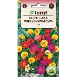 Toraf 0,5g Portulaka Wielokwiatowa Mix Nasiona kwiatów mieszanka kolorów obwódki kwietniki niska roślina