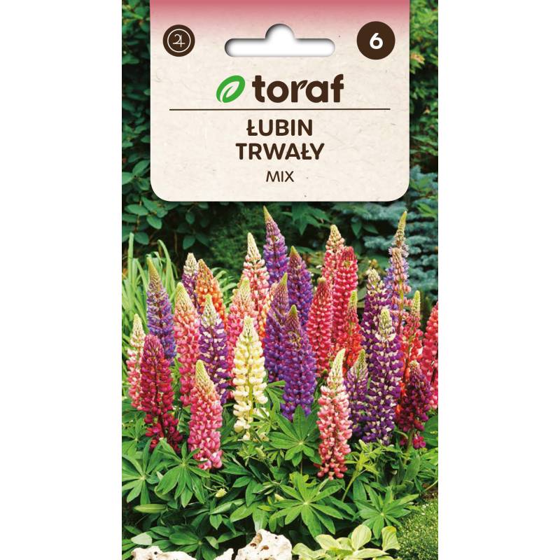 Toraf 1g Łubin Trwały Mix Nasiona kwiatów Roślina wieloletnia Mieszanka kolorów Bylina