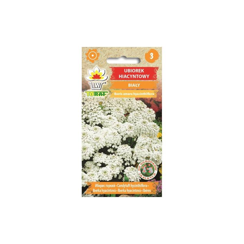 Toraf 0,5g Ubiorek Hiacyntowy Biały Nasiona kwiatów roślina jednoroczna skalniaki ściany kwiatowe rabatki