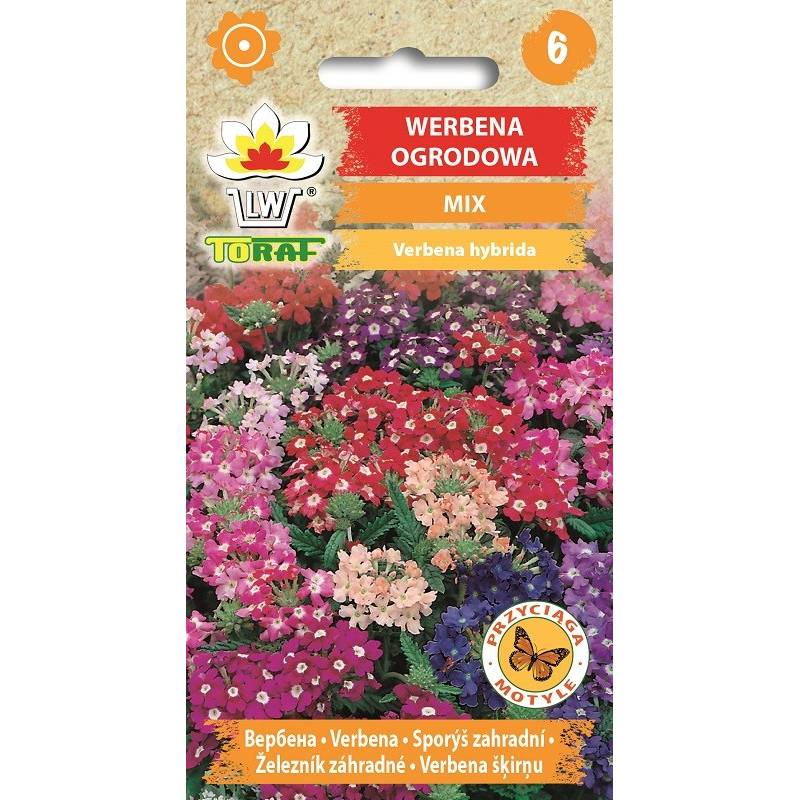 Toraf 0,3g Werbena Ogrodowa Nasiona kwiatów Mieszanka kolorów Roślina jednoroczna gazony murki obwódki