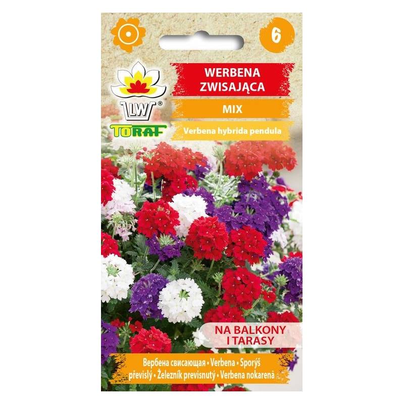 Toraf 0,3g Werbena Zwisająca Nasiona kwiatów Mieszanka kolorów murki balkony ściany kwiatowe kompozycje wiszące