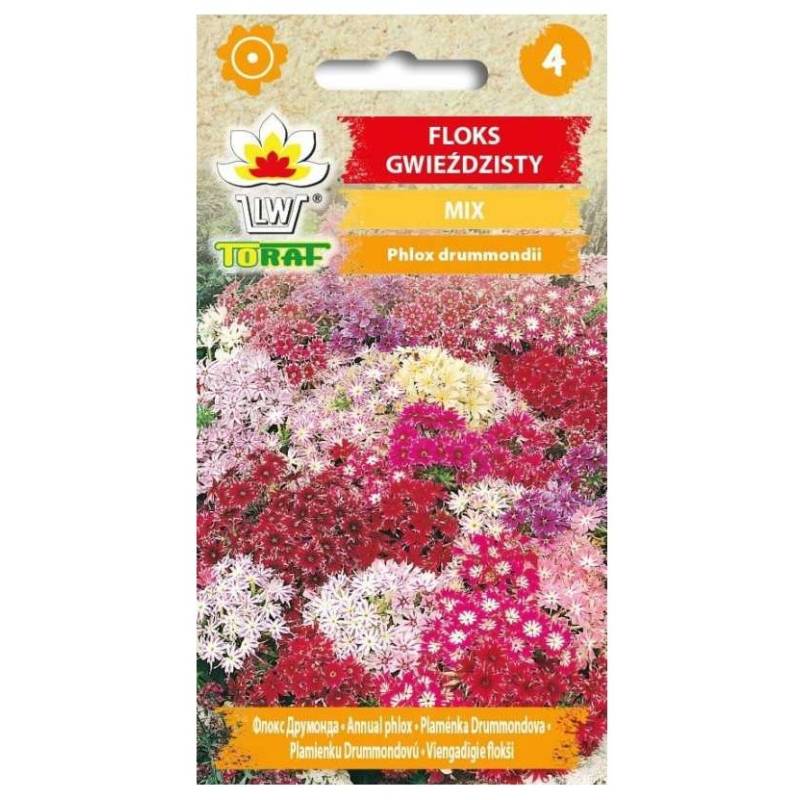 Toraf 0,5g Floks Gwiaździsty mix kolorów Nasiona kwiatów roślina jednoroczna niska odmiana