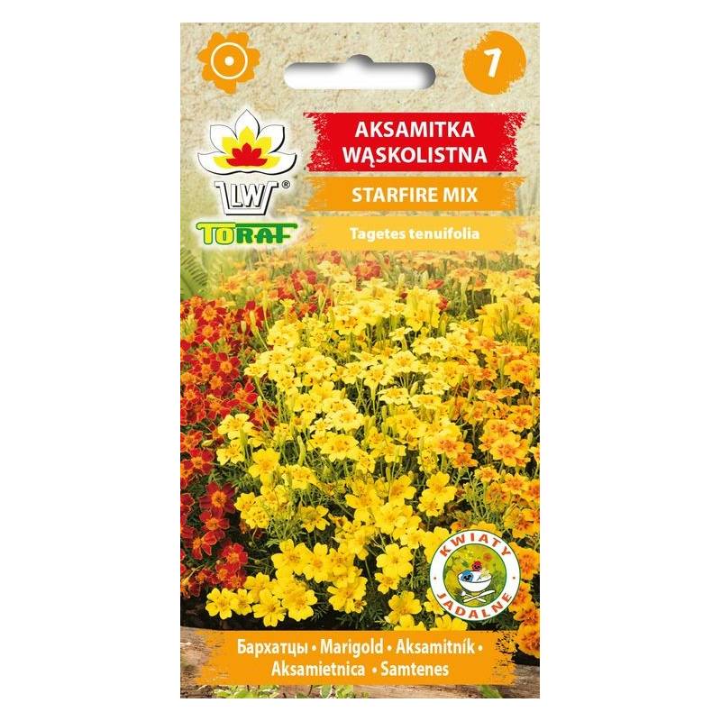 Toraf 0,5g Aksamitka Starfire mix Nasiona kwiatów pomarańczowa czerwona żółta