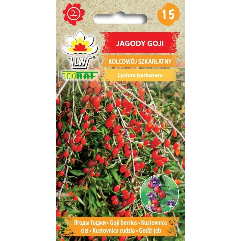 Toraf 0,1g Jagody Goji Kolcowój Szkarłatny Nasiona krzewu najzdrowsze owoce świata