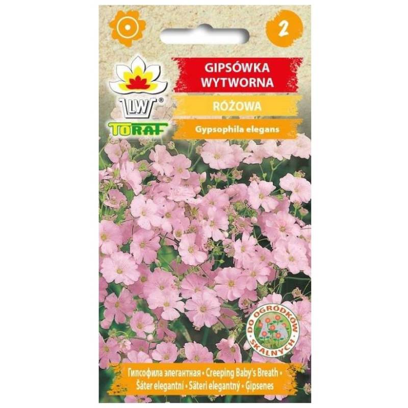 Toraf 1g Gipsówka wytworna różowa Nasiona kwiatów roślina jednoroczna rabatki bukiety kwiatowe