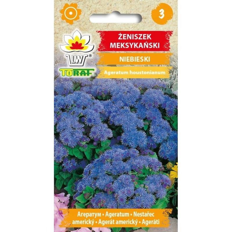 Toraf 0,2g Żeniszek Meksykański Niebieski Nasiona kwiatów Obwódki Rabatki Kwietniki
