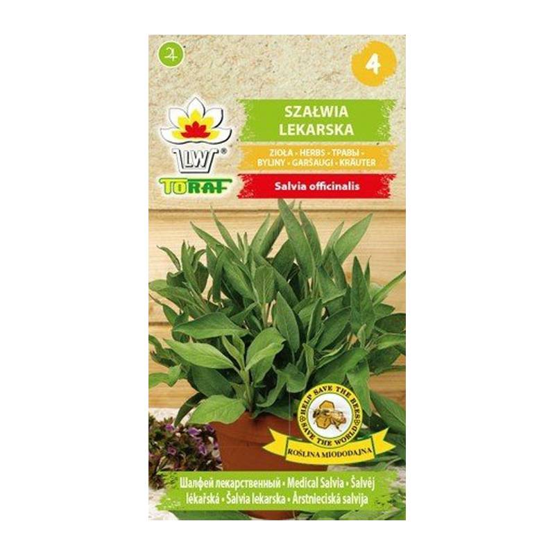 Toraf 1g Szałwia Lekarska Nasiona ziół działanie lecznicze łagodzi stany zapalne