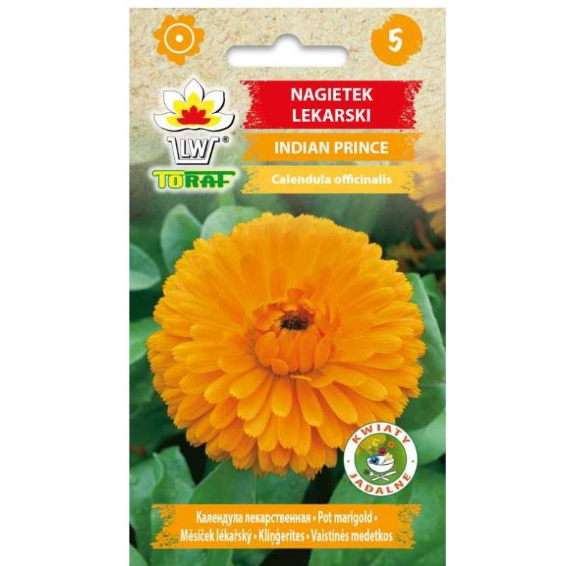 Toraf 1g Nagietek Indian Prince Nasiona kwiatów ziół Działanie lecznice Rabatki Obwódki Kwietniki