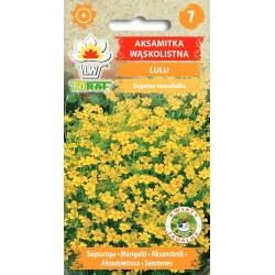 Toraf 0,5g Aksamitka Lulu Nasiona wąskolistna niska kuliste żółte kwiaty