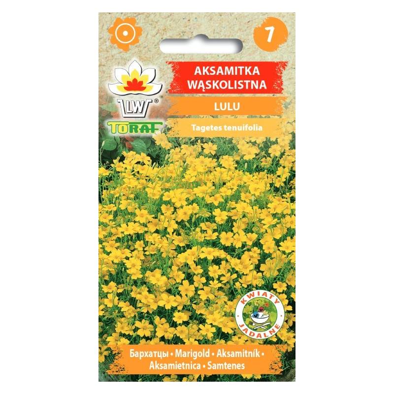 Toraf 0,5g Aksamitka Lulu Nasiona wąskolistna niska kuliste żółte kwiaty