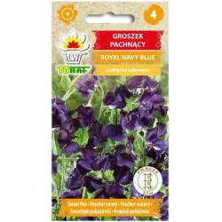 Toraf 1g Groszek Pachnący Royal Navy Blue Nasiona kwiatów kwiat cięty bukiety ogródek