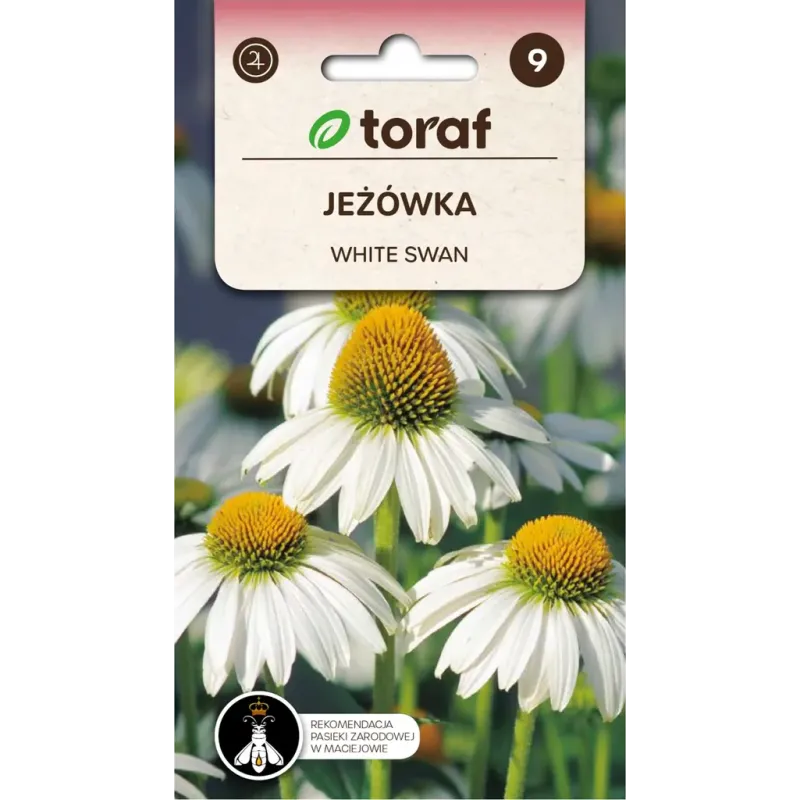 Toraf 0,2g Jeżówka Biała White Swan Nasiona kwiatów Roślina przyciągająca motyle Wieloletnia