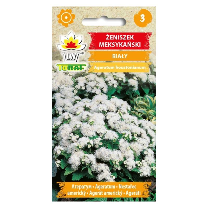 Toraf 0,2g Żeniszek Meksykański Biały Nasiona kwiatów jednorocznych obwódki rabaty kwietniki gazony