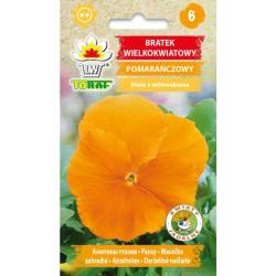 Toraf 0,2g Bratek pomarańczowy Nasiona odporny na mróz roślina rabatowa balkonowa