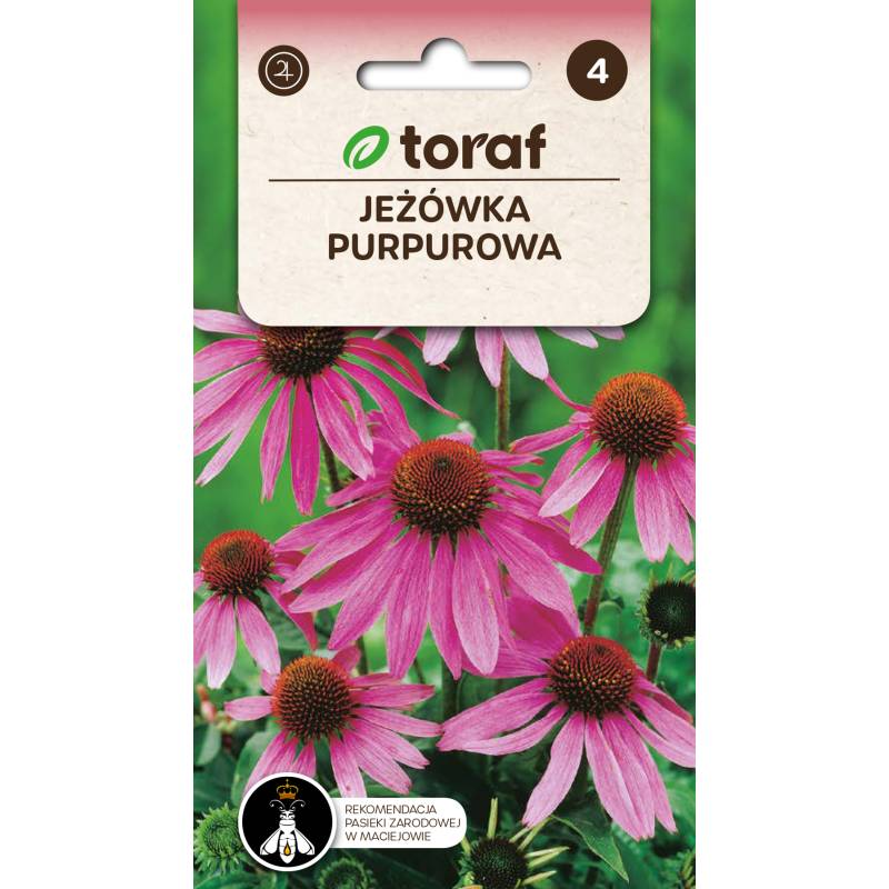 Toraf 1g Jeżówka Purpurowa Nasiona kwiatów Bylina wieloletnia Przyciąga owady