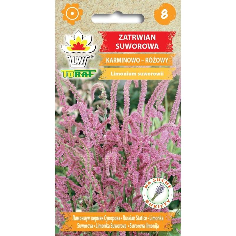 Toraf 0,1g Zatrwian Suworowa Nasiona kwiatów Rabatki Kwiat cięty Suche bukiety