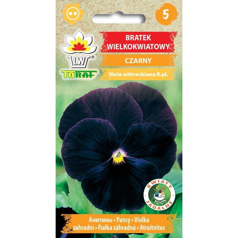 Toraf 0,2g Bratek czarny Nasiona roślina dwuletnia rabatowa balkonowa