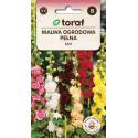 Toraf 1g Malwa pełna Nasiona kwiatów Bylina wieloletnia Mix kolorów Wysoka