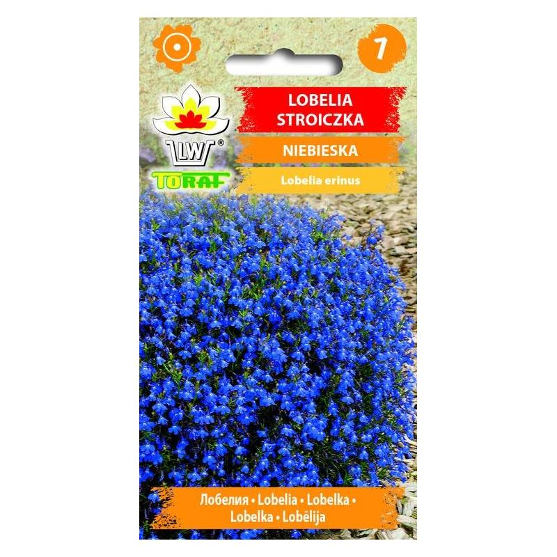 Toraf 0,1g Lobelia Stroiczka Niebieska Nasiona kwiatów roślina na obwódki kwietniki
