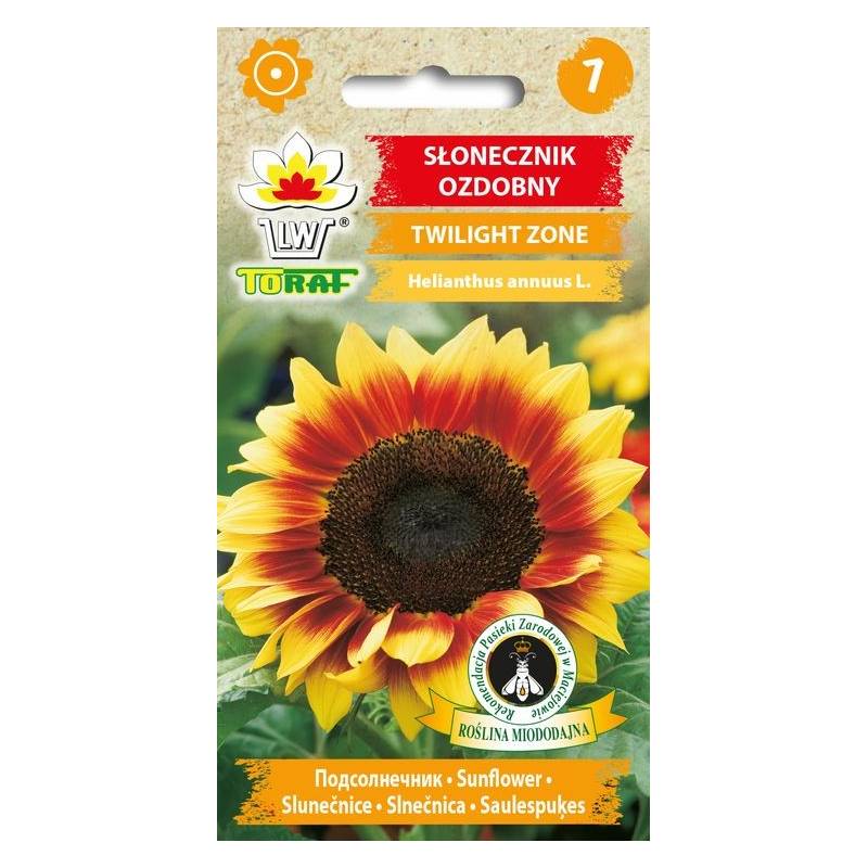 Toraf 0,5g Słonecznik Ozdobny Twilight Zone Nasiona kwiatów kwiat cięty obsadzanie rabatek
