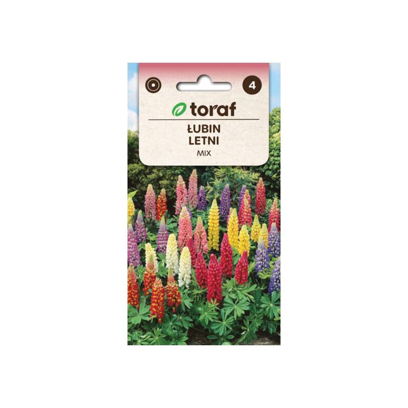 Toraf 1g Łubin Letni Mix Nasiona kwiatów Roślina jednoroczna Mieszanka kolorów Kwiat cięty Kwietniki