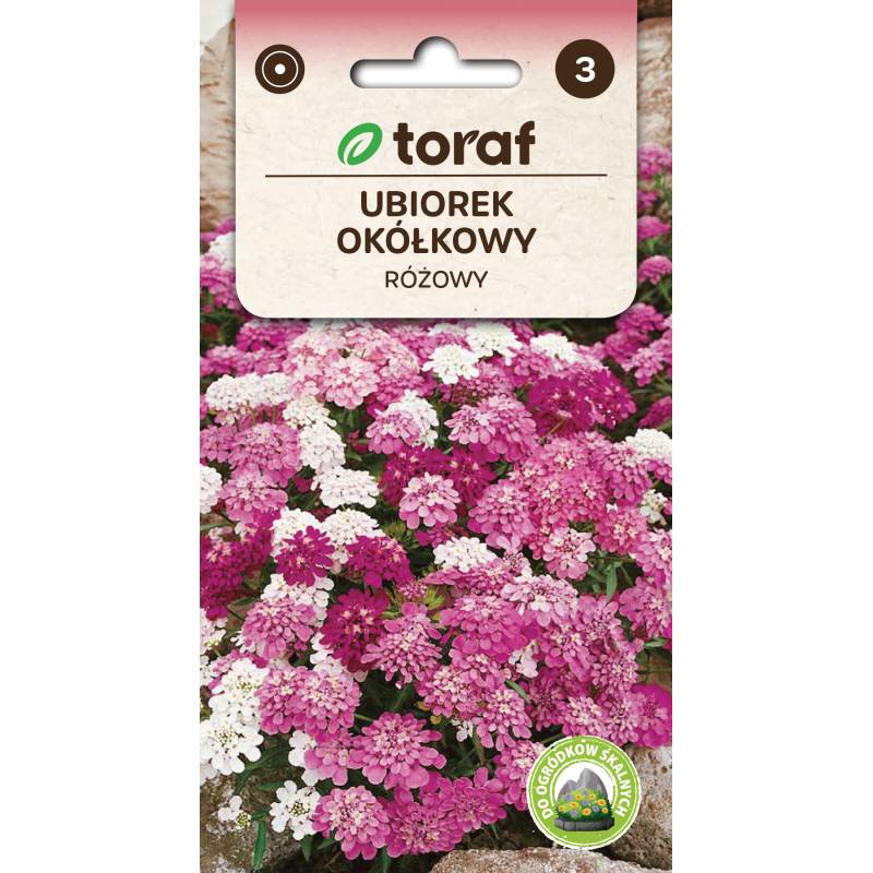 Toraf 0,3g Ubiorek Różowy Nasiona kwiatów jednorocznych ściany kwiatowe rabatki skalniaki