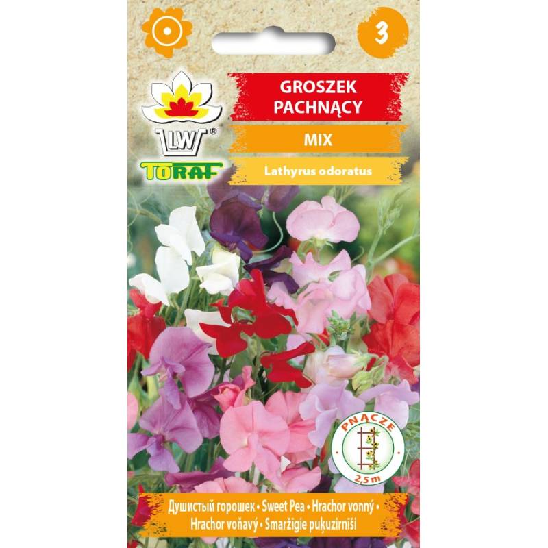 Toraf 2g Groszek Pachnący Mix Nasiona kwiatów Mieszanka kolorów Pachnące kwiaty Ogrodzenia balkony
