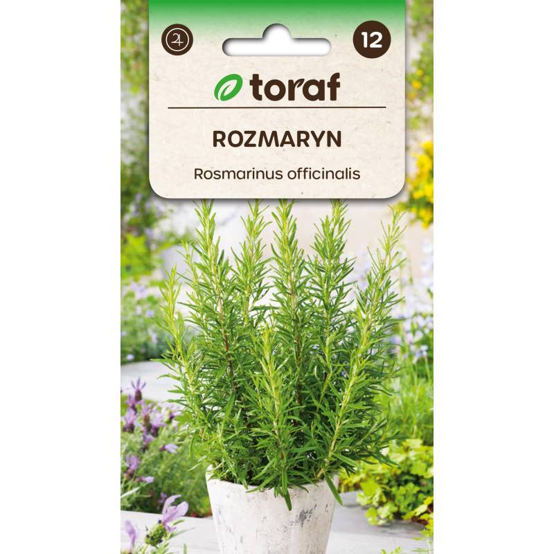 Toraf 0,1g Rozmaryn Nasiona ziół Przyprawy Aromatyczny Wspomaga trawienie Pobudza krążenie