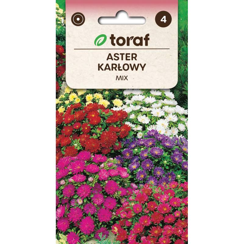 Toraf 1g Aster karłowy mix Nasiona mieszanka kolorów obficie kwitnące kolorowa rabatka