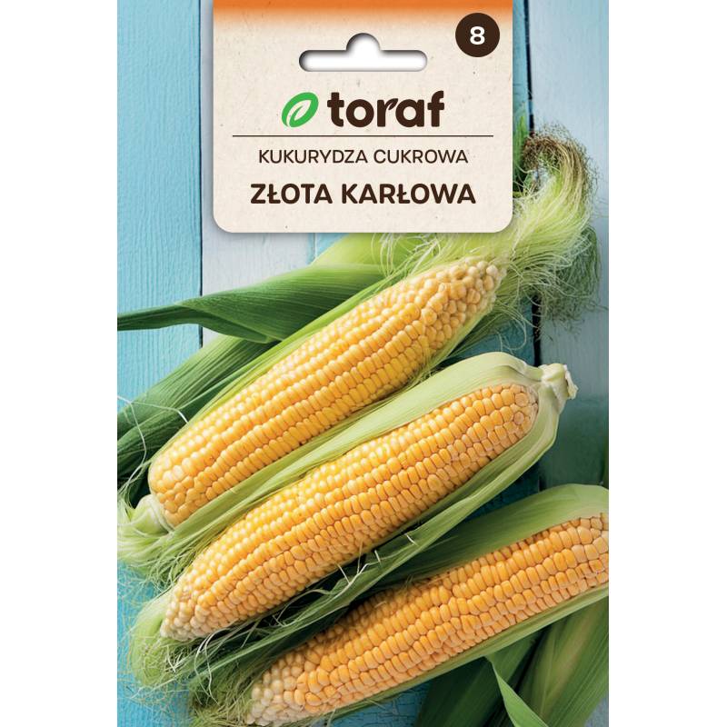 Toraf 20g Kukurydza Złota Karłowa Nasiona warzyw odmiana wczesna cukrowa
