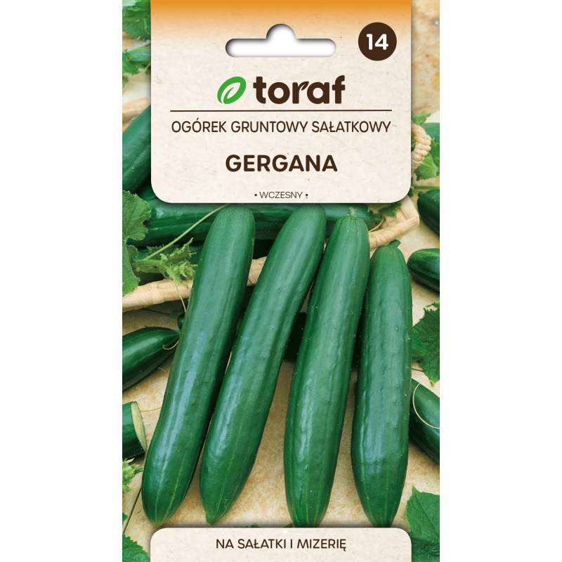Toraf 5g Ogórek Gergana Sałatkowy Gruntowy Nasiona warzyw Odmiana wczesna długa plenna