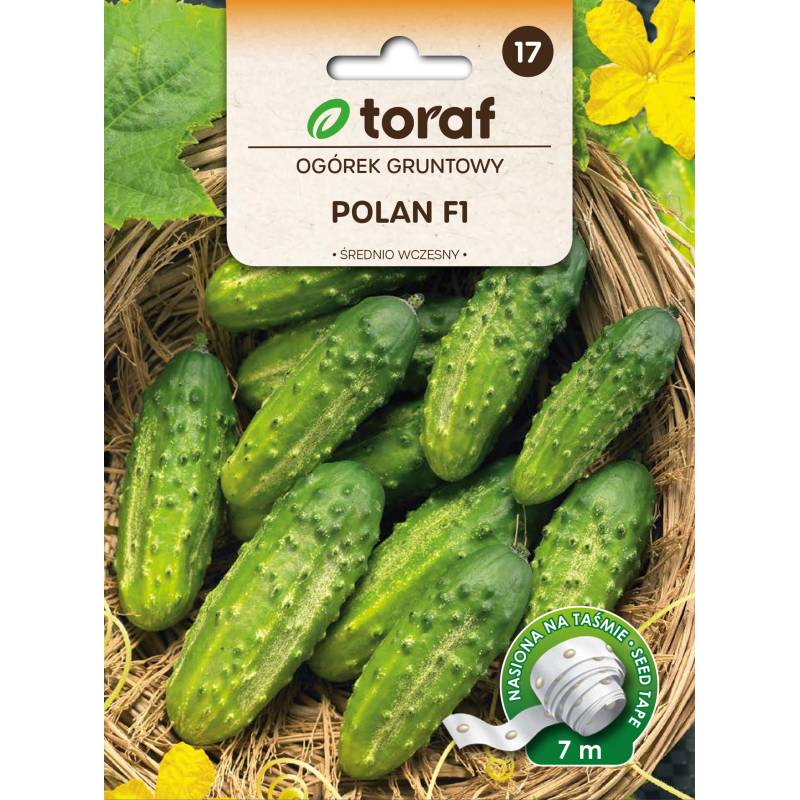 Toraf 7m Ogórek Polan Nasiona warzyw na taśmie Gruntowy Średnio wczesny Bardzo plenny