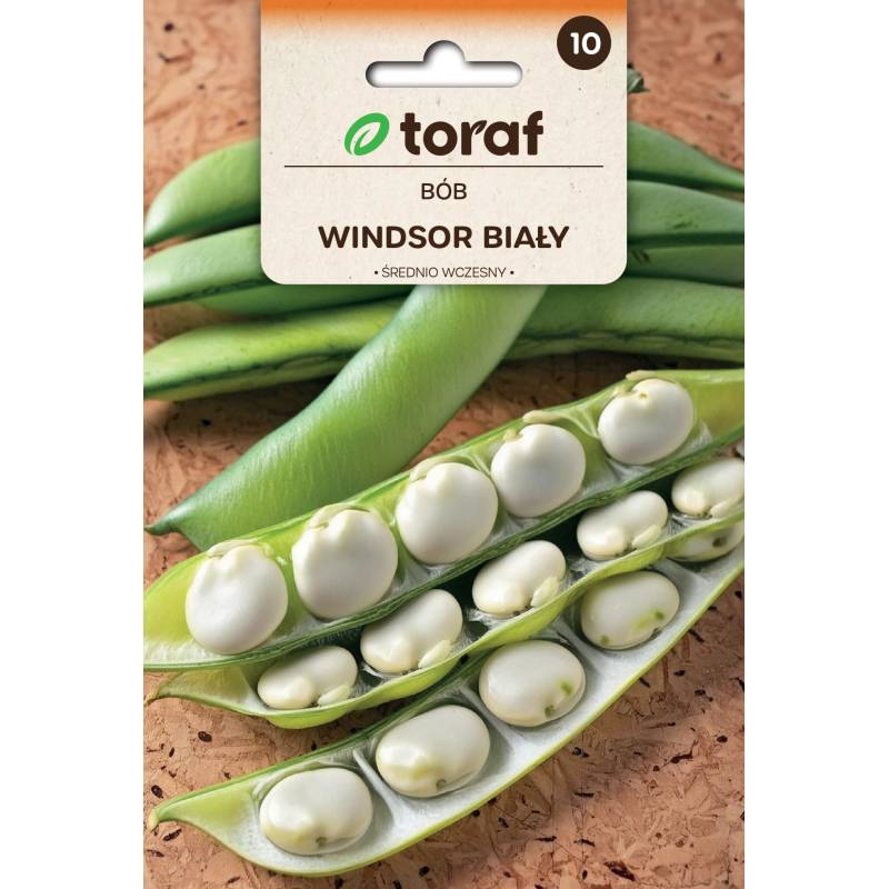 Toraf 50g Bób Windsor biały Nasiona warzyw Odmiana średnio wczesna plenna Duże nasiona