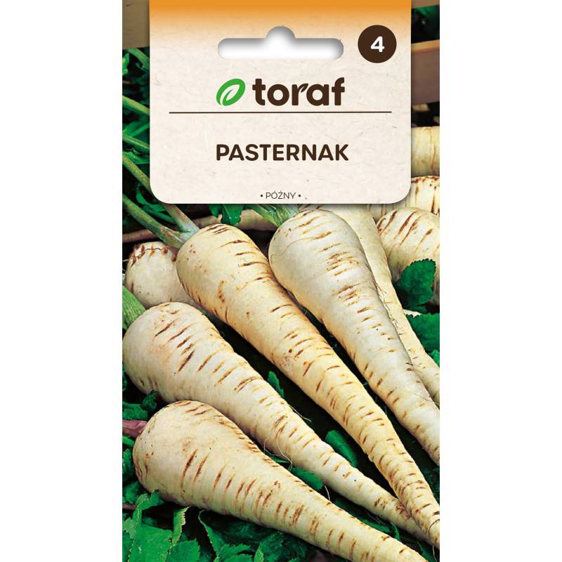 Toraf 5g Pasternak Długi Biały Nasiona warzyw delikatny w smaku wysokie wartości odżywcze